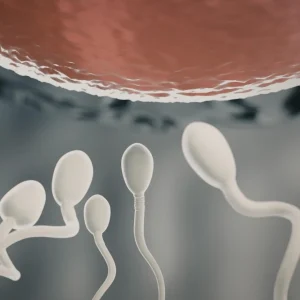 ESPERMATOBIOSCOPÍA