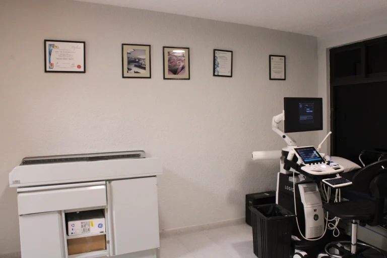 galeria-coapa6
